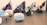 The image depicts a row of three strollers neatly arranged against a light-colored wall. The strollers are equipped with various accessories, such as jackets and toys. In the foreground, there are two modern, white, rounded chairs and a black, low table. Two signs with text are placed on the table.