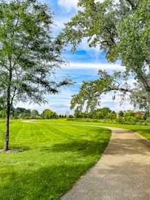 Image of a community park being landscaped with trees and walking paths.