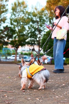 A dog owner effortlessly slipping the Zipp-N-Go leash onto their energetic dog in a park.