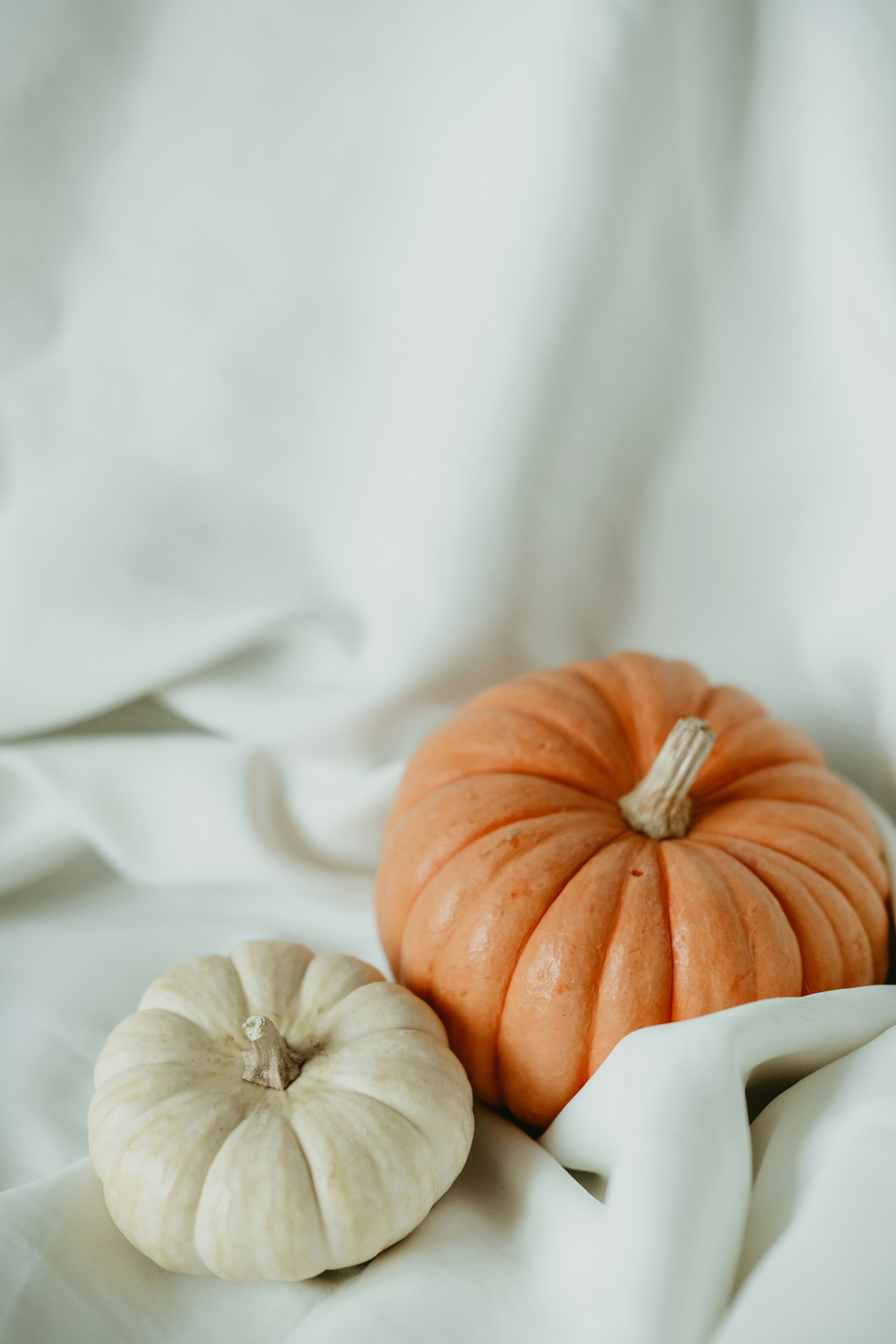 Photo by beyzaayurtkuran