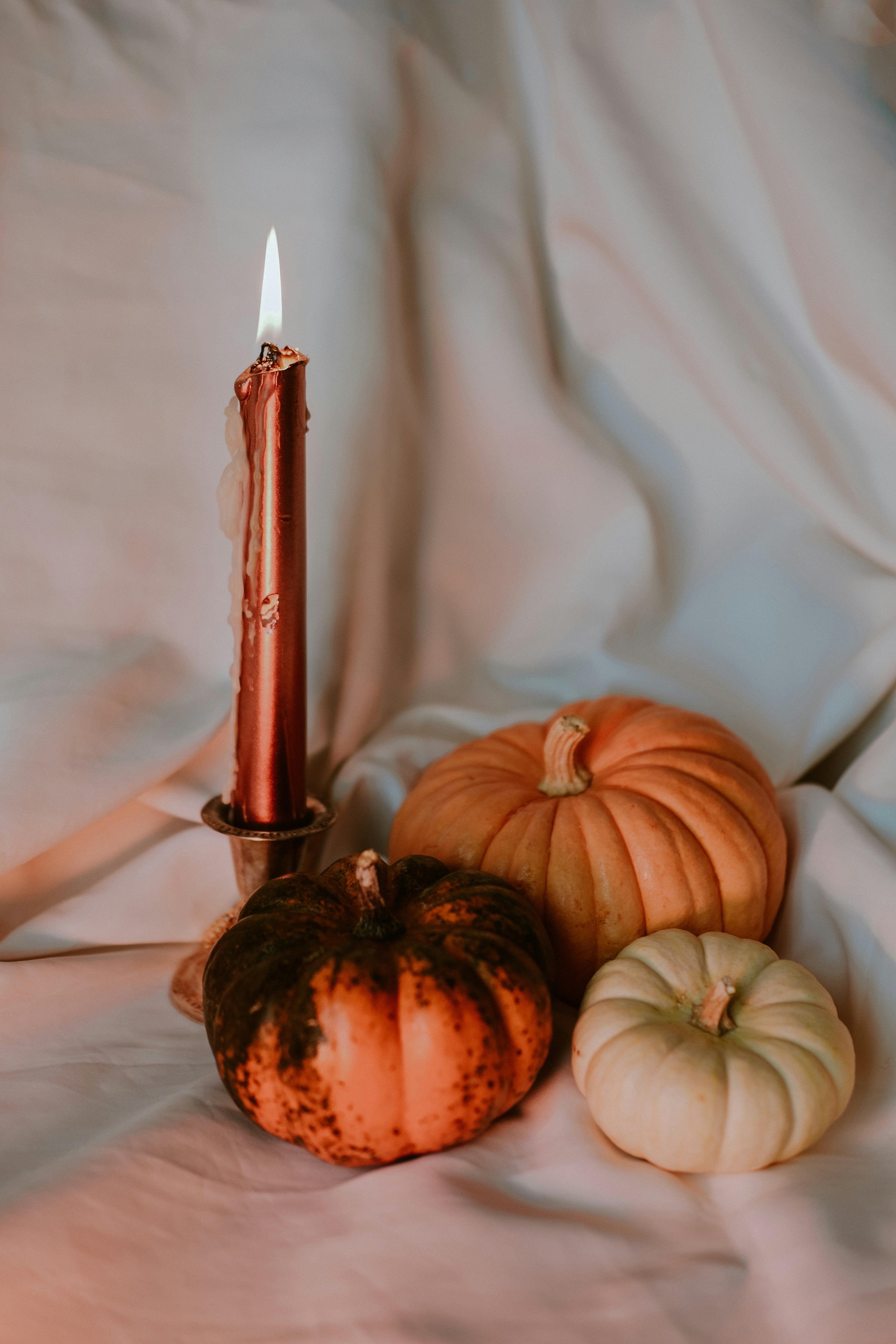 Photo by beyzaayurtkuran