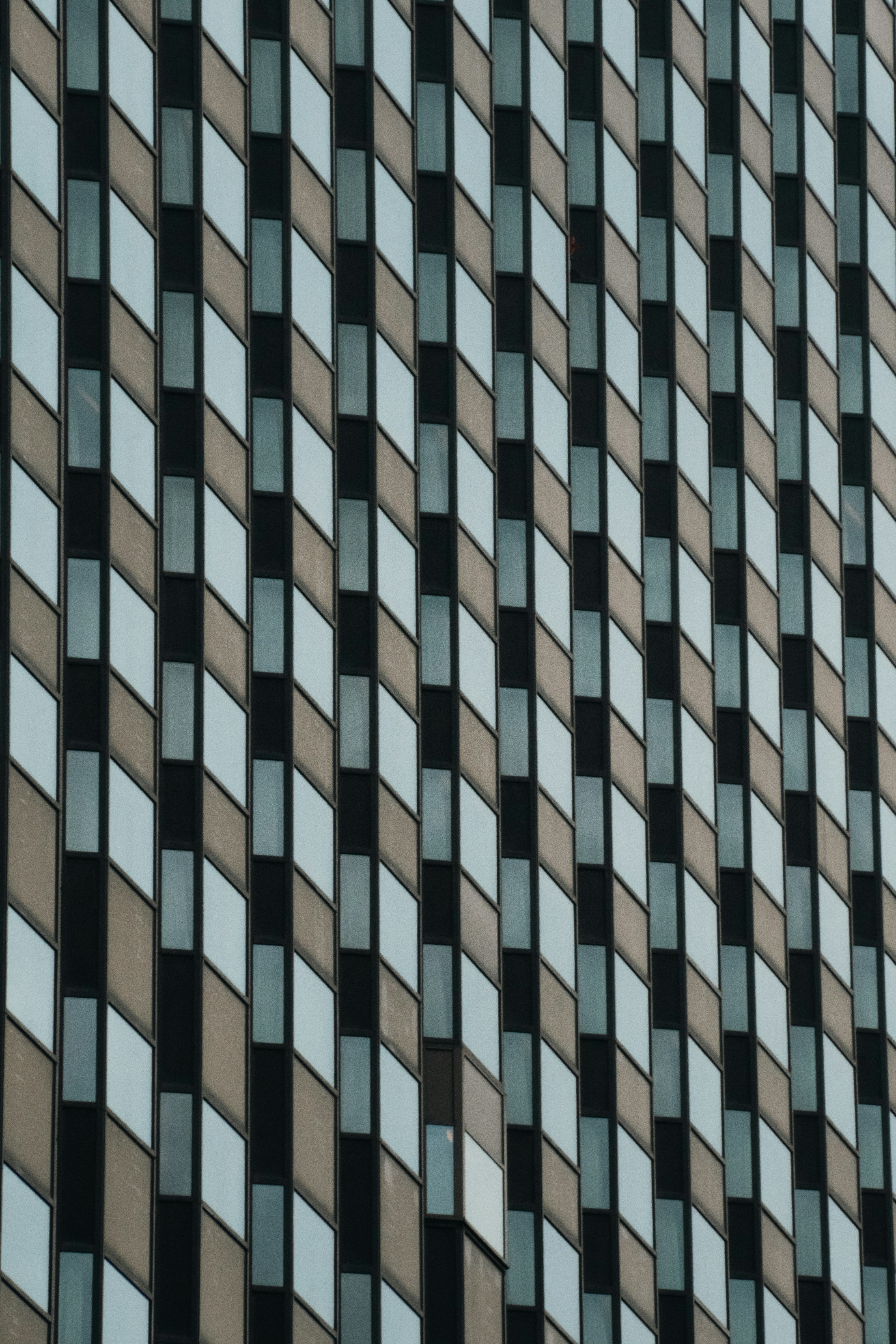 Photo by digital_m_art_in