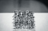 A row of sunflowers photographed from below, their rigid stems and faces creating a geometric pattern under harsh lighting.