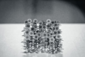 A row of sunflowers photographed from below, their rigid stems and faces creating a geometric pattern under harsh lighting.