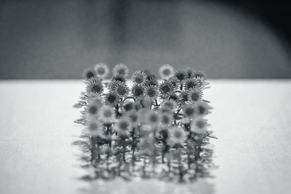 a group of tiny flowers sitting on top of a table