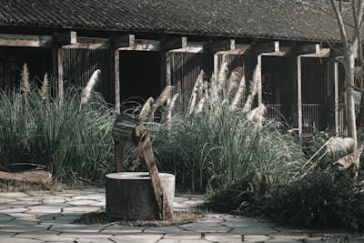 A rustic well with a wooden frame sits on a stone-paved area surrounded by tall grasses. The backdrop features a wooden building with open, darkened windows, giving a hint of an old or abandoned structure. The natural surroundings and weathered materials suggest an ambiance of rural tranquility.