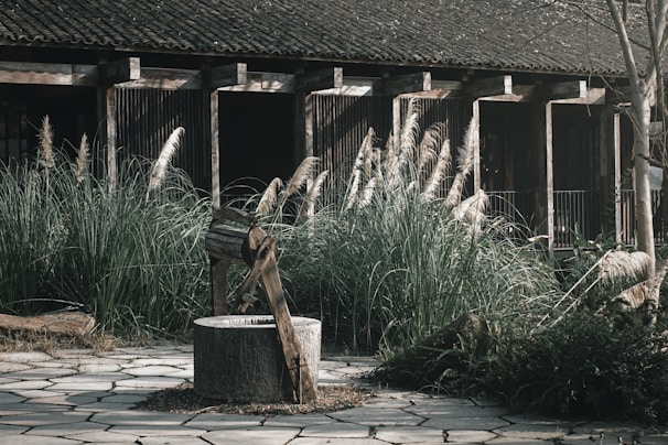 A rustic well with a wooden frame sits on a stone-paved area surrounded by tall grasses. The backdrop features a wooden building with open, darkened windows, giving a hint of an old or abandoned structure. The natural surroundings and weathered materials suggest an ambiance of rural tranquility.