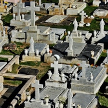 A cemetery with numerous stone graves and headstones, featuring a variety of crosses and statues. There are several vases with flowers placed atop the graves. The grass is visible around the stone structures, giving a sense of an outdoor setting.