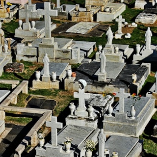 A cemetery with numerous stone graves and headstones, featuring a variety of crosses and statues. There are several vases with flowers placed atop the graves. The grass is visible around the stone structures, giving a sense of an outdoor setting.