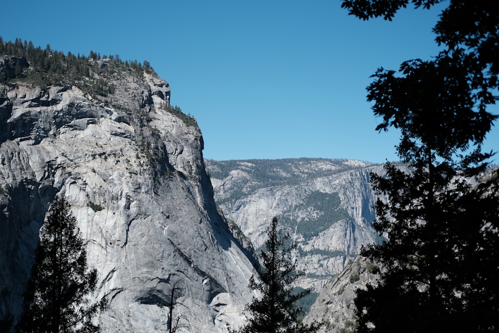 a view of a mountain with trees in the foreground