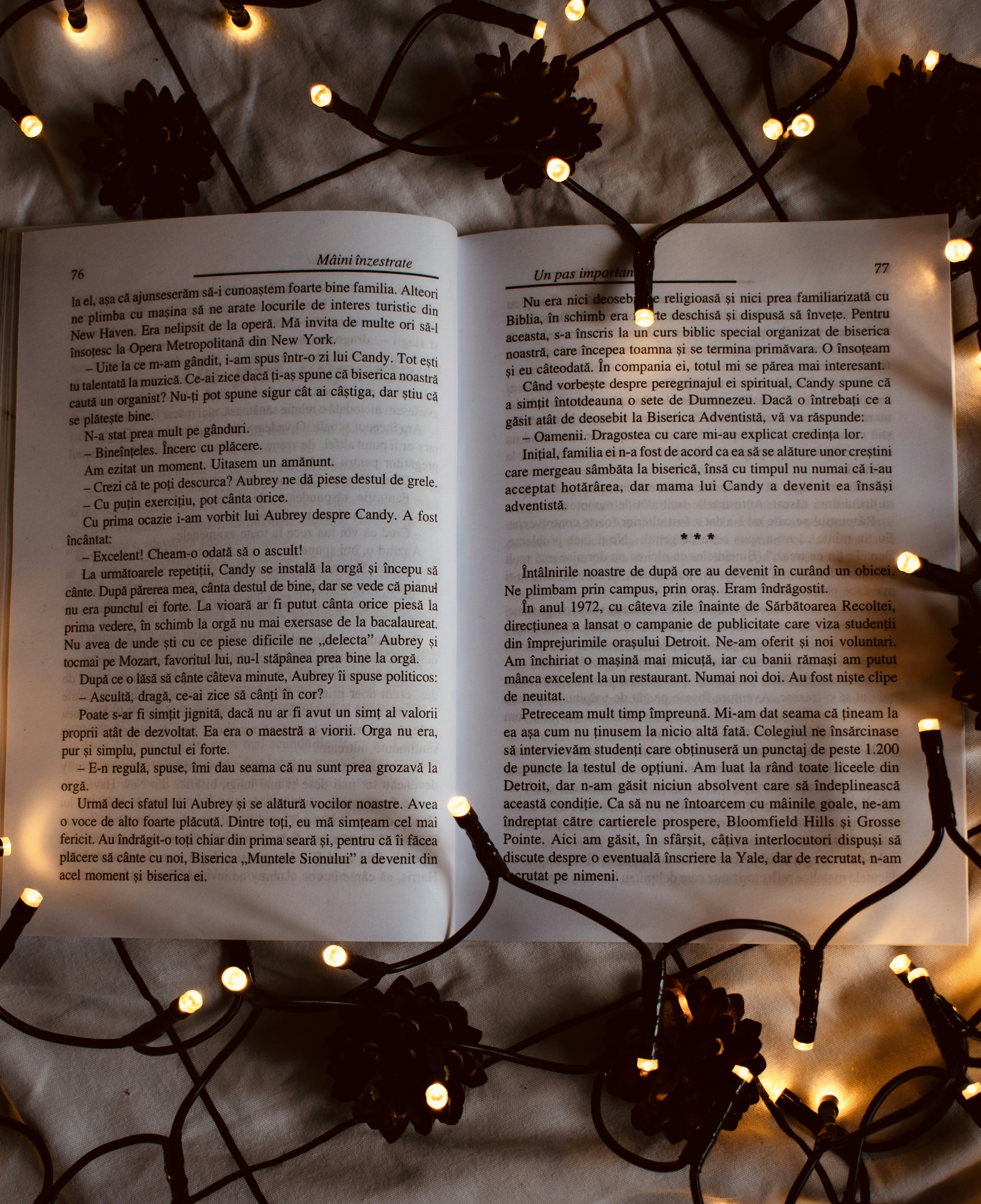 Photo by raluca_cotoara