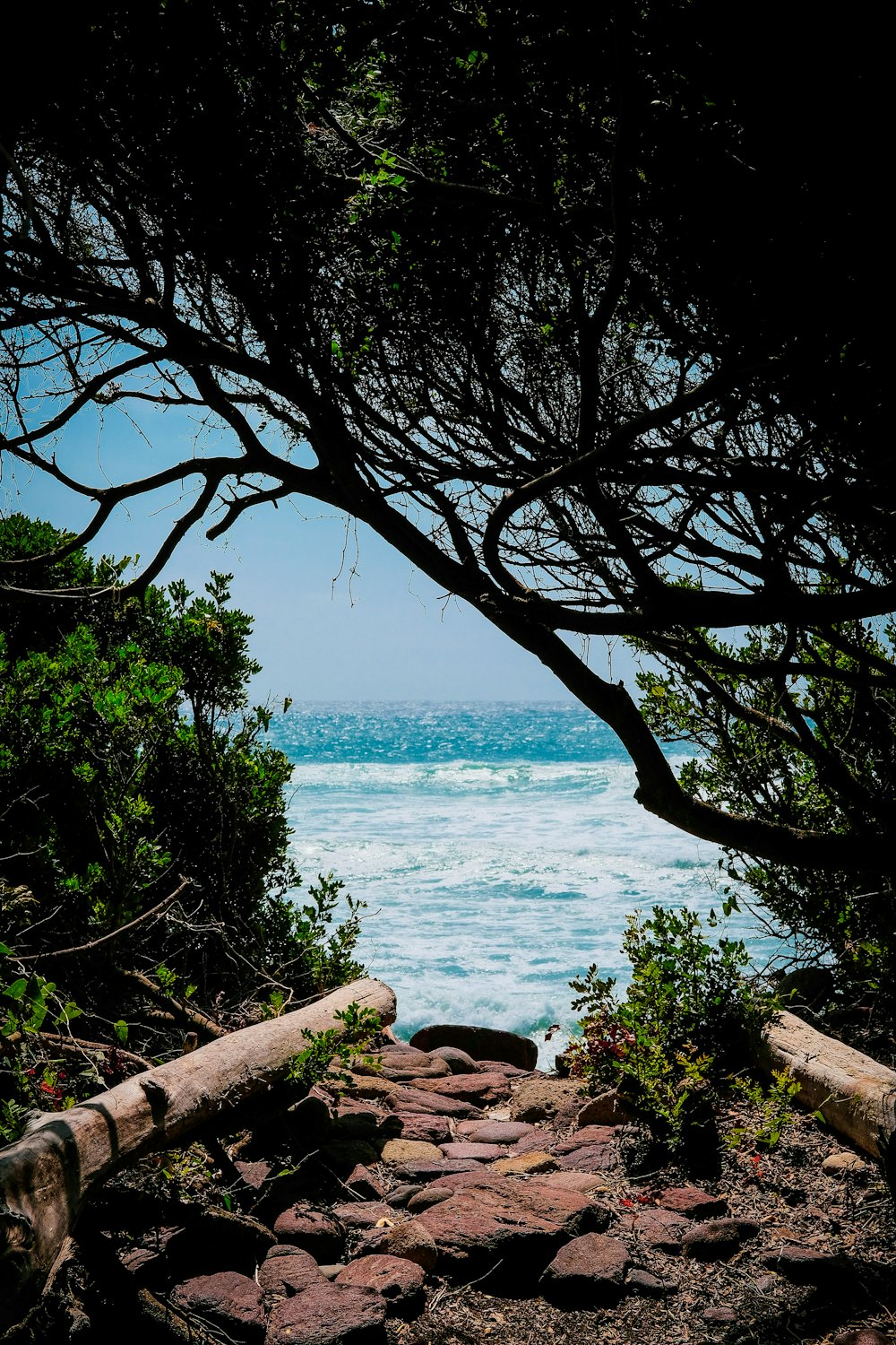 a view of the ocean from a rocky path