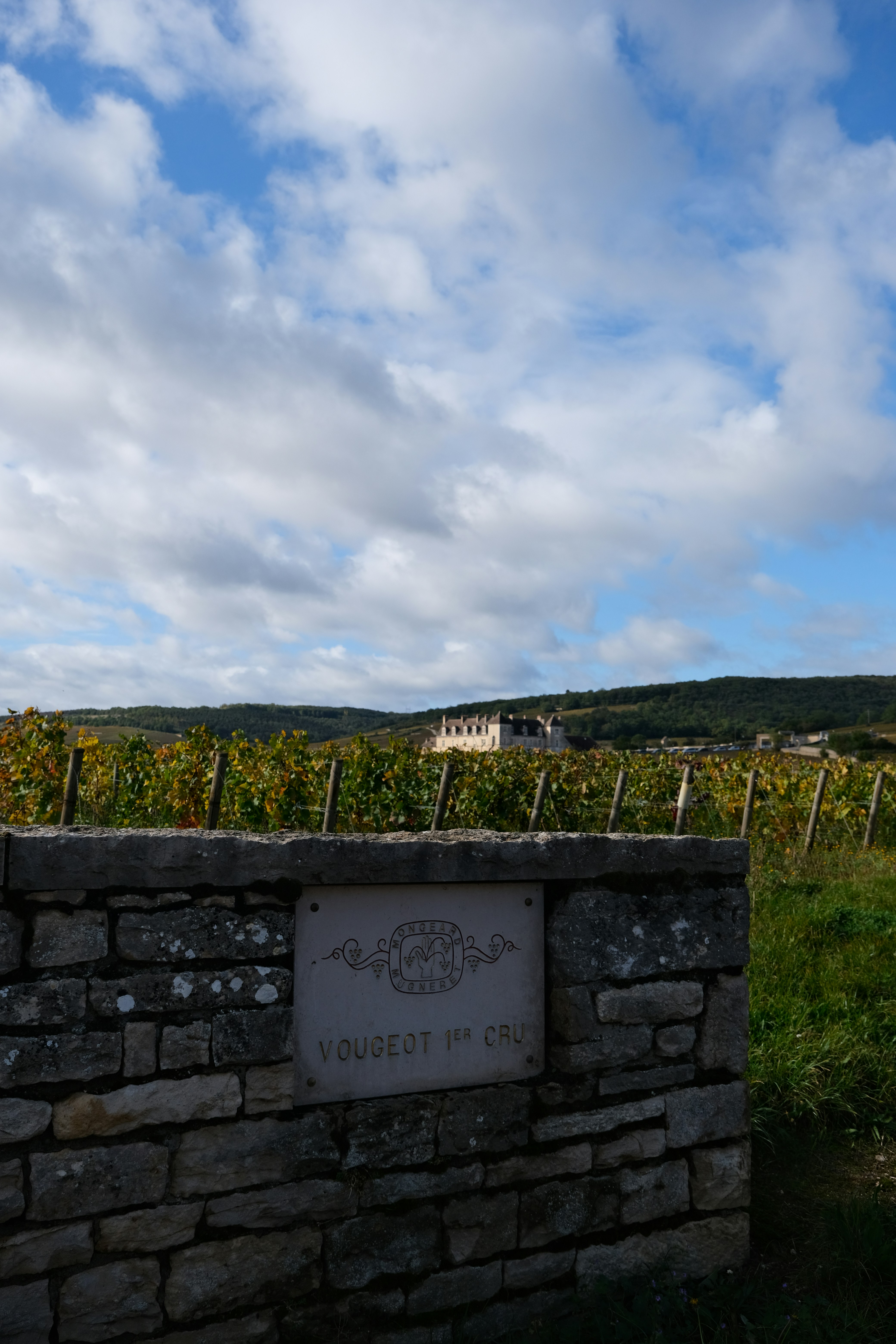 Burgundy vineyard hillsides
