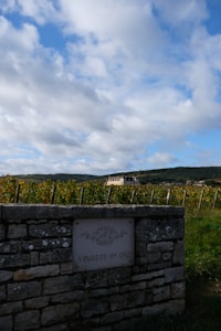 A stone wall in the foreground with a sign reading 'Vougeot 1er Cru' set against a backdrop of a vineyard. Rows of vines stretch into the distance with a large building visible on the horizon. The sky is partly cloudy with patches of blue, creating a sense of openness and natural beauty.
