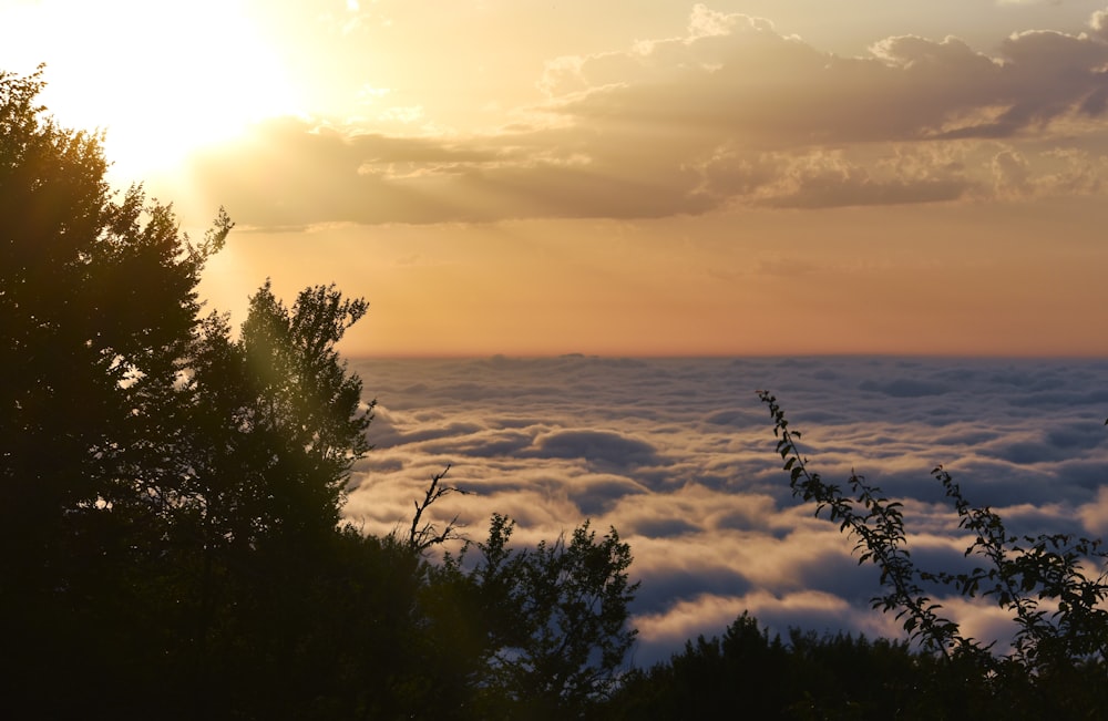 the sun is shining through the clouds above the trees