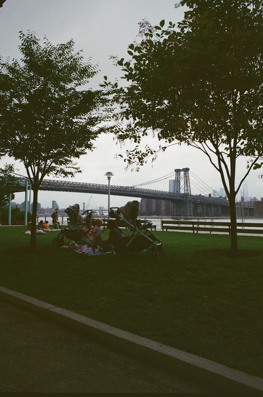 a group of people sitting on top of a lush green field