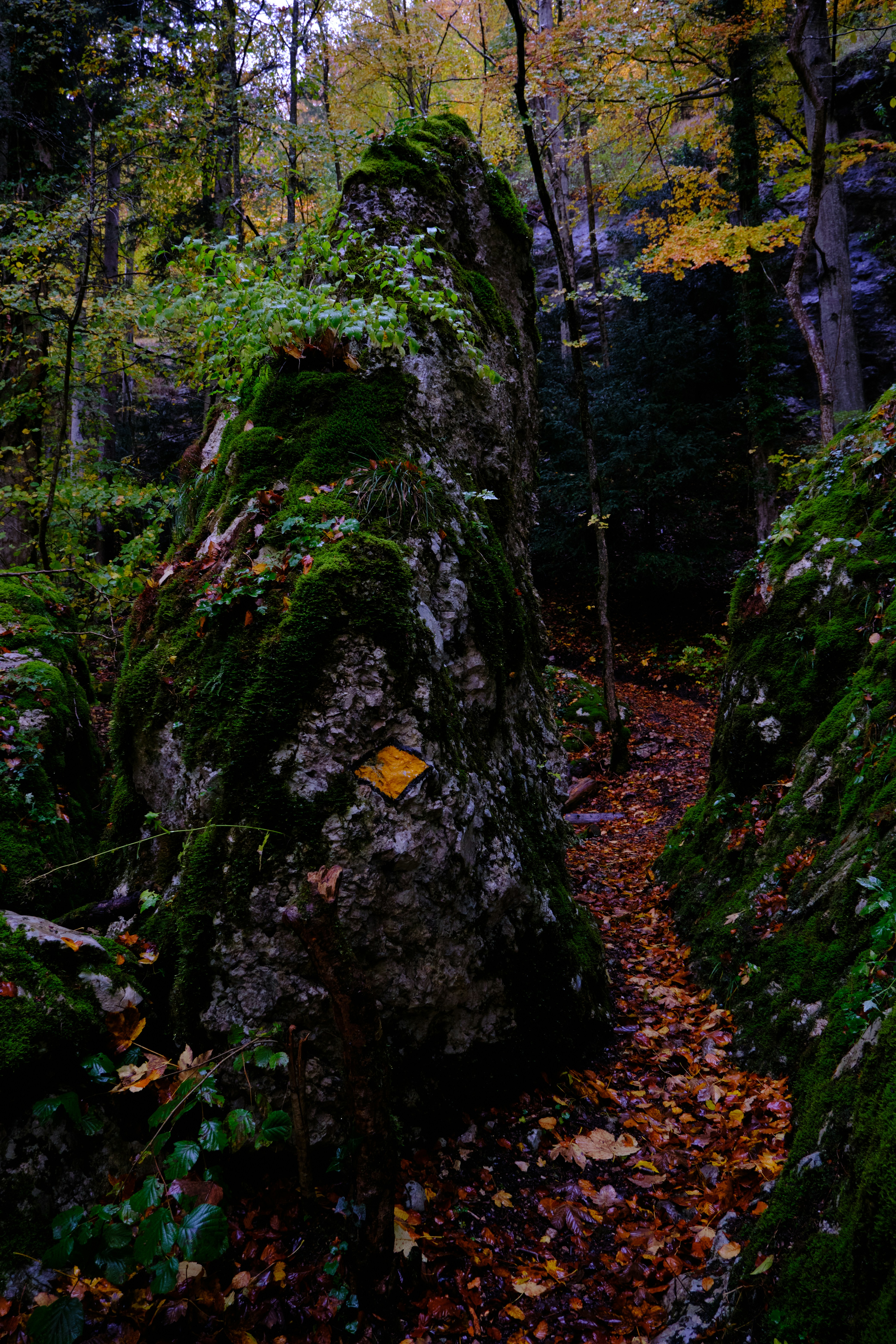 Photo by corentinschneiter