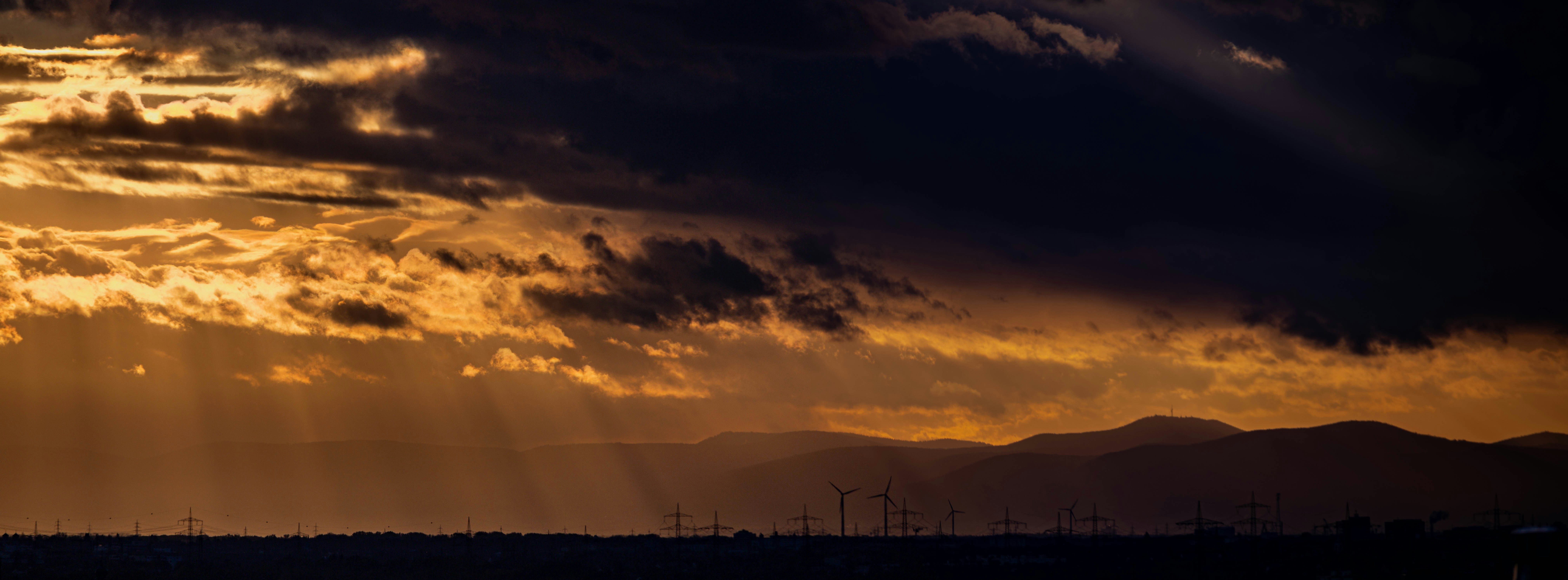 What Are Some Eco-friendly Landscaping Solutions For My Yard?