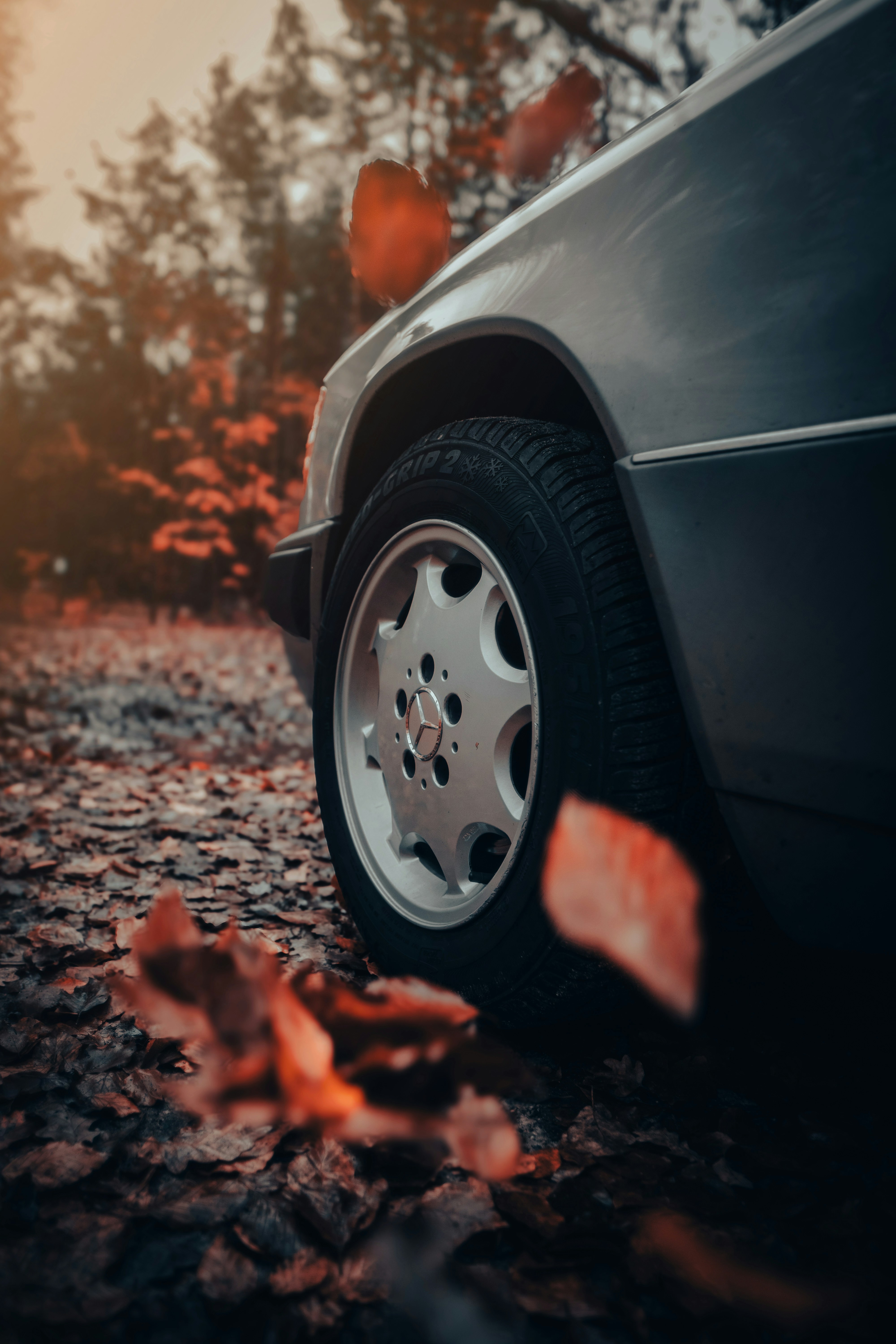 Photo by timelesslucas