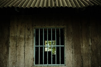 a window with bars on the side of a building