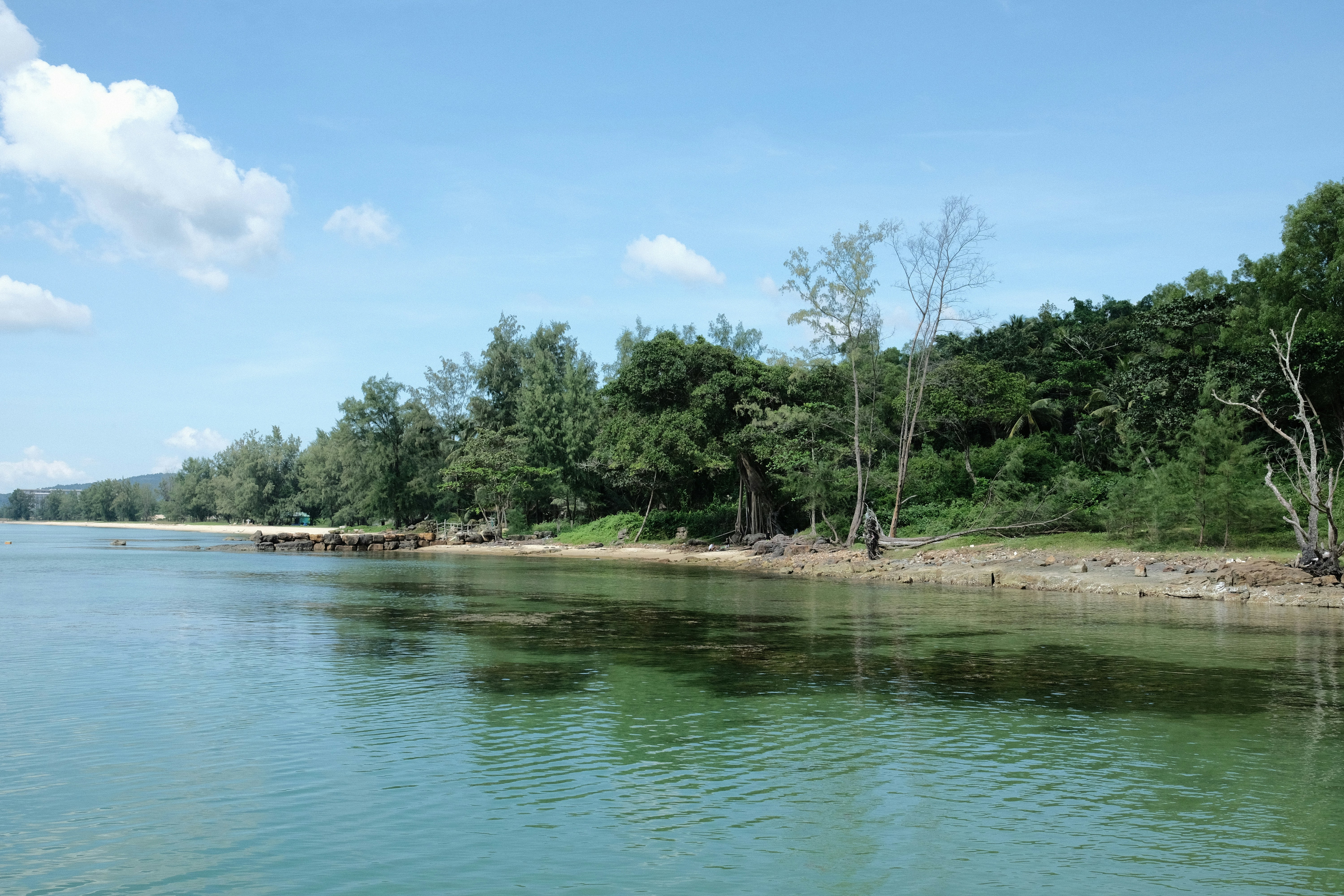 a body of water surrounded by trees on a sunny day