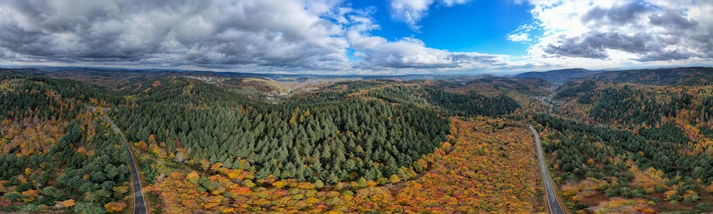 an aerial view of a forest in the fall