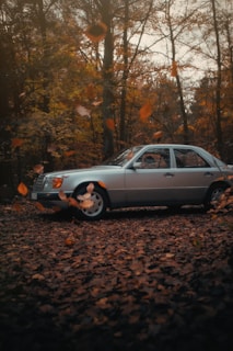 A shiny Skoda Superb 4x4 parked on a forest trail during autumn.