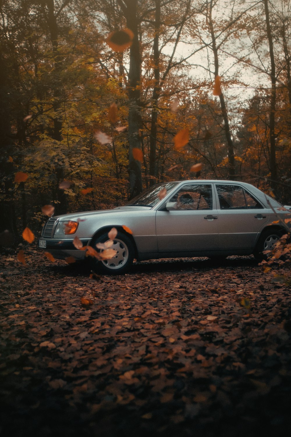 a car parked in the middle of a forest