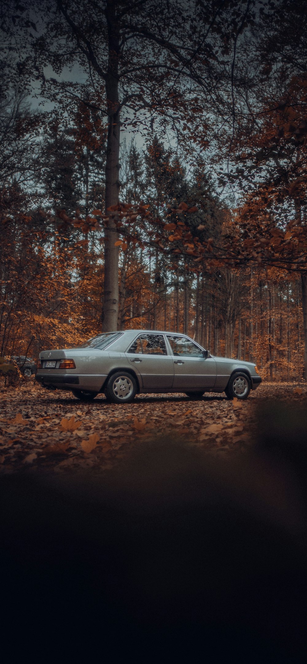 a car parked in the middle of a forest