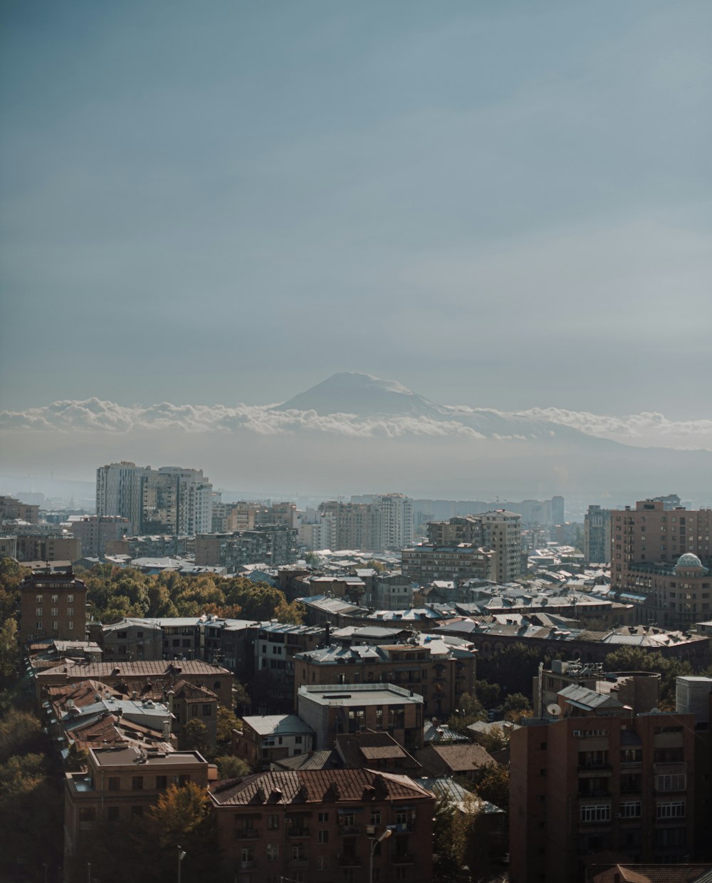 a view of a city with a mountain in the background