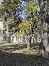 A serene outdoor setting with a small group engaged in a creative art therapy session surrounded by trees and natural light.