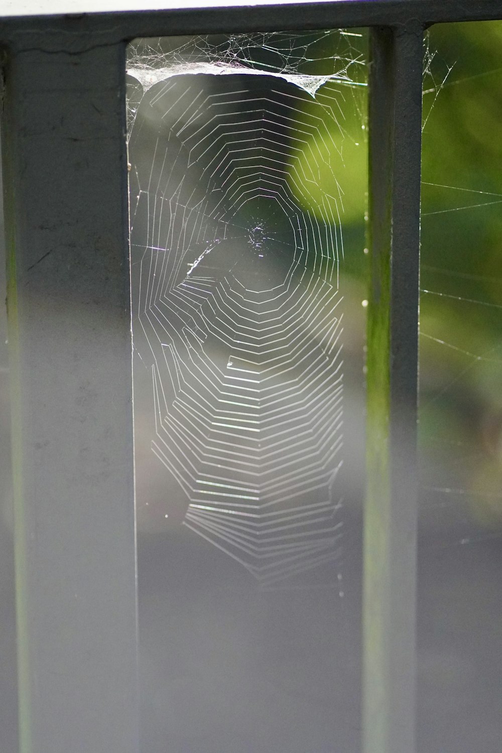 a close up of a spider web on a window