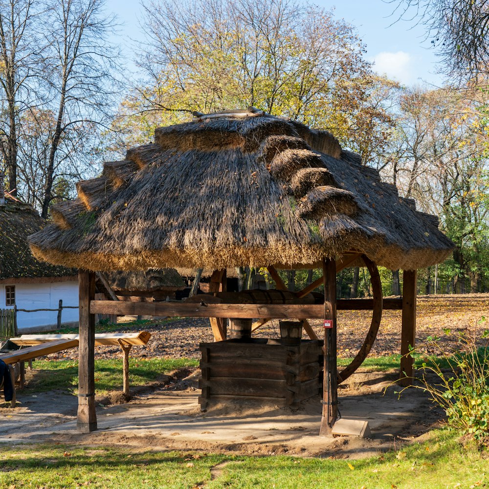 a hut with a thatched roof in a park