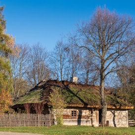 A rustic thatched-roof cottage surrounded by leafless trees, positioned in a rural setting under a clear blue sky. The house is made of wood and features a neat stick fence and a small window. Autumn leaves are scattered on the ground, adding to the serene, countryside atmosphere.