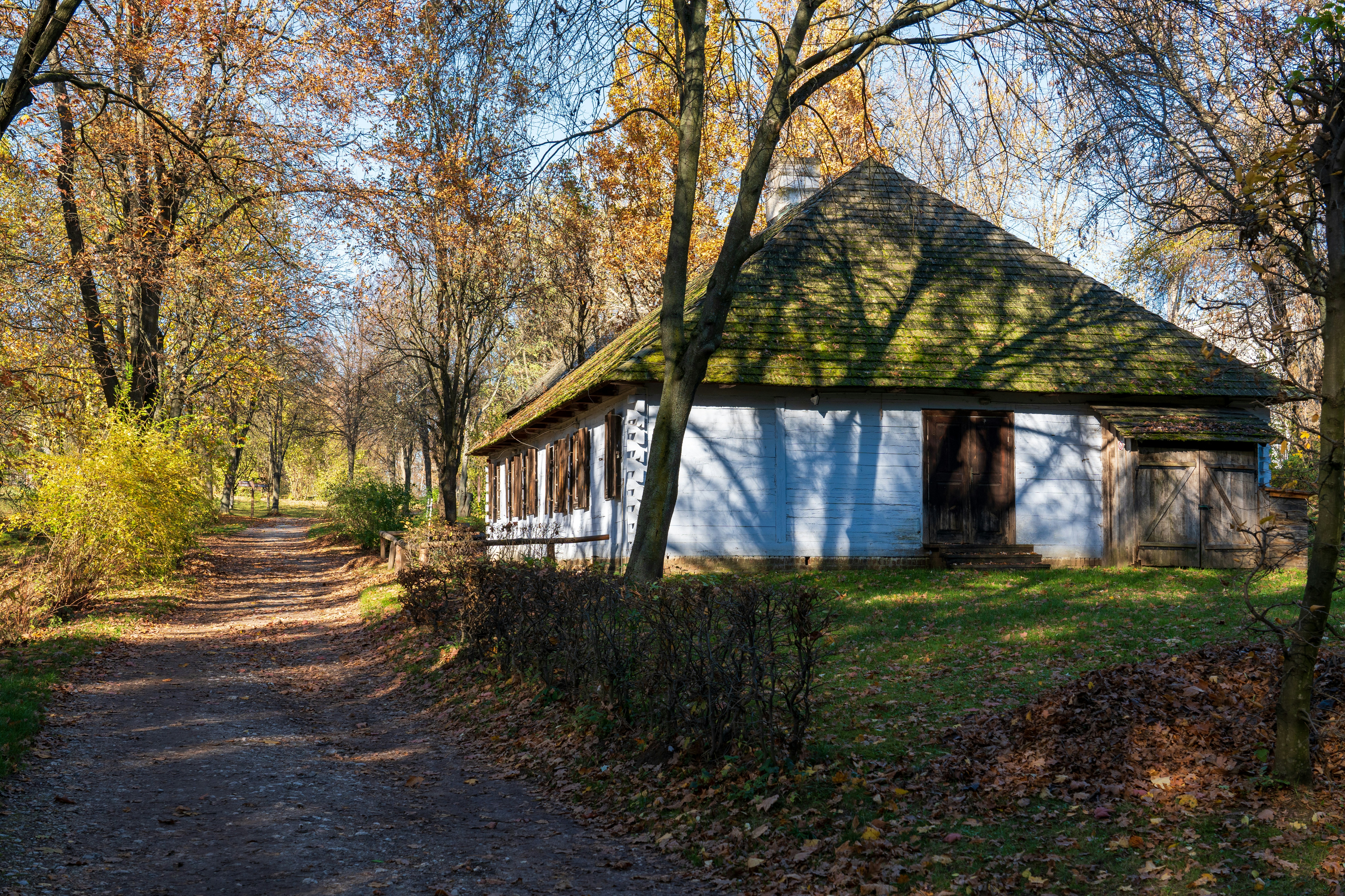 a small house in the middle of a wooded area