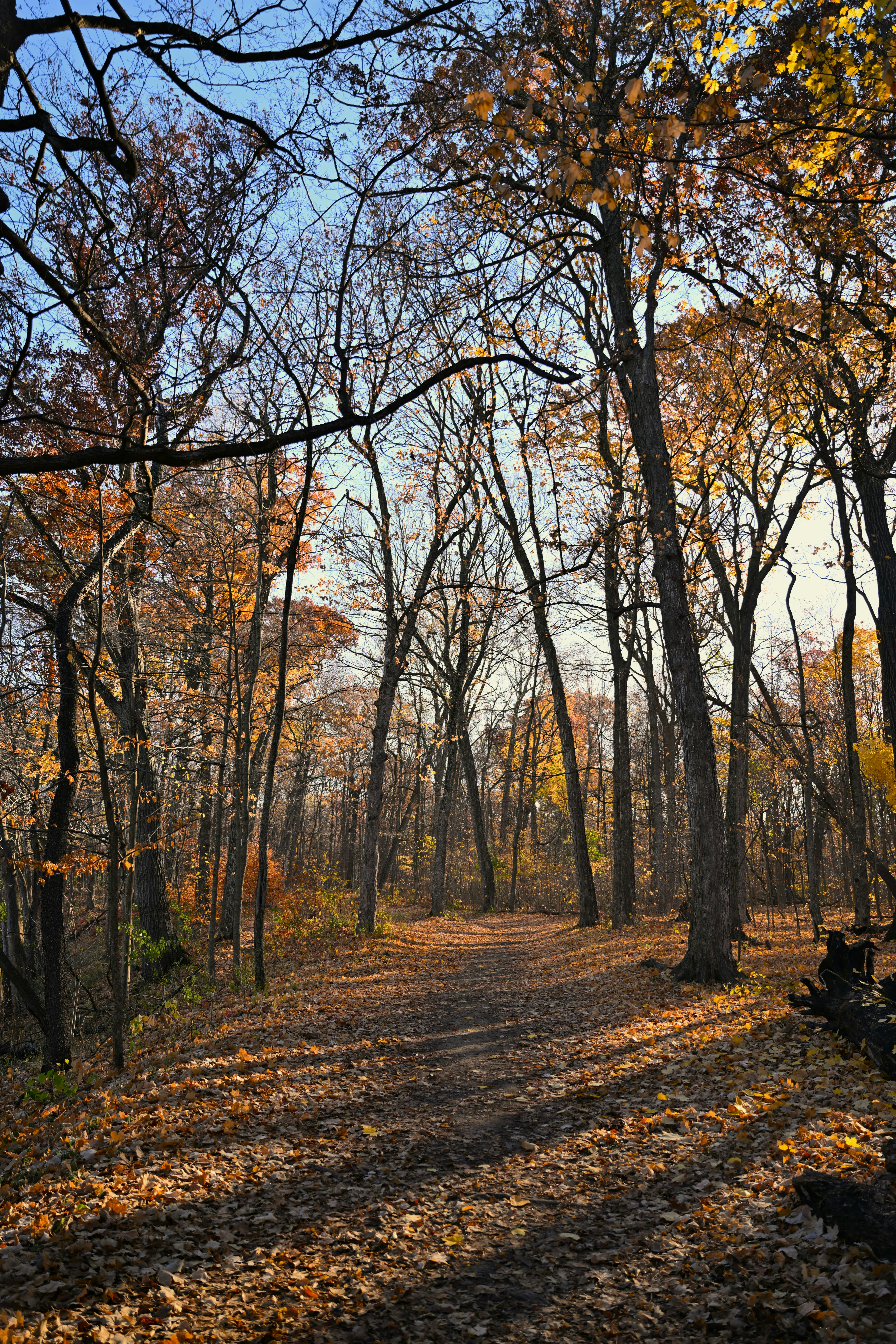 Photo by ukprajapati