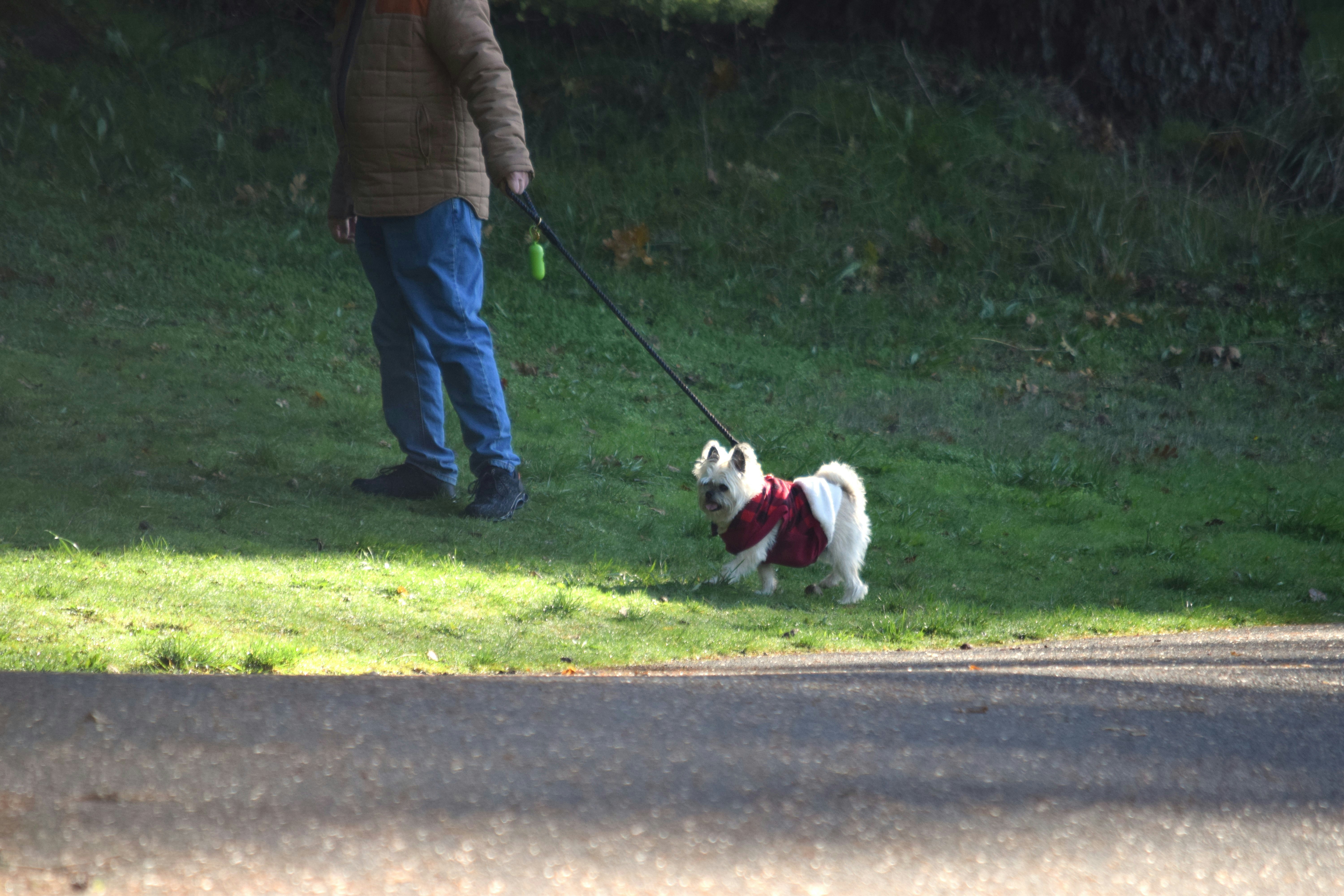 Encouraging Healthy Face Forward Behavior