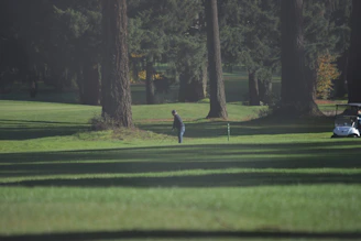 a person is playing golf in a green field