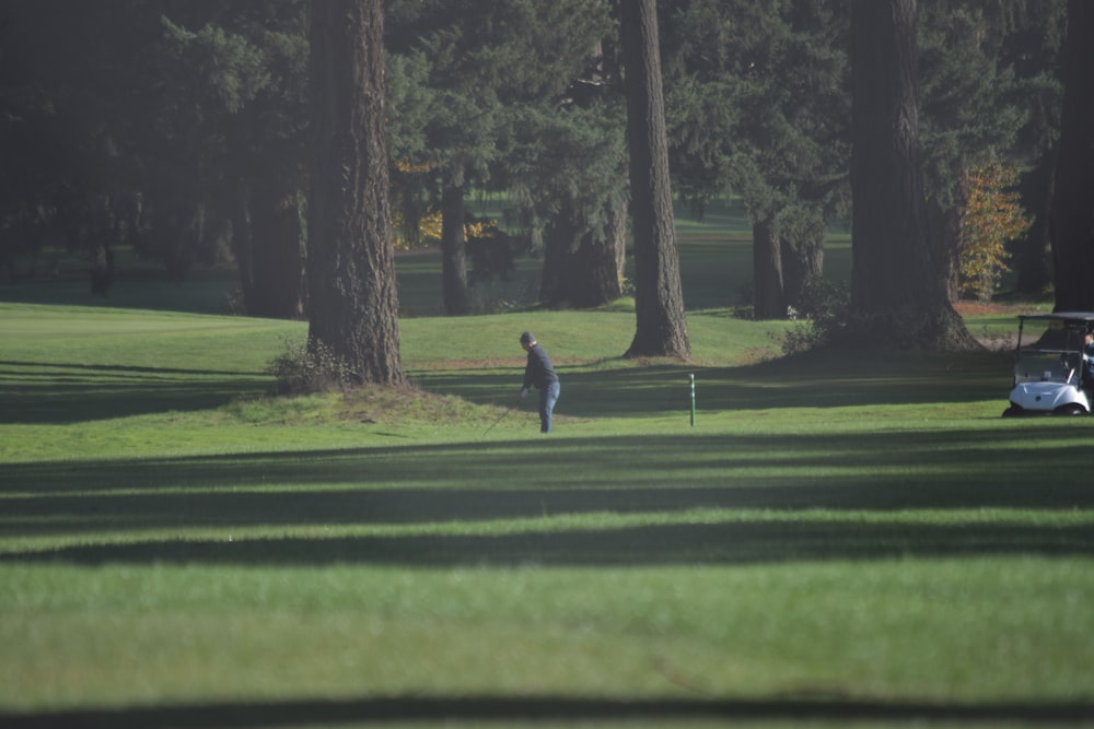 a person is playing golf in a green field