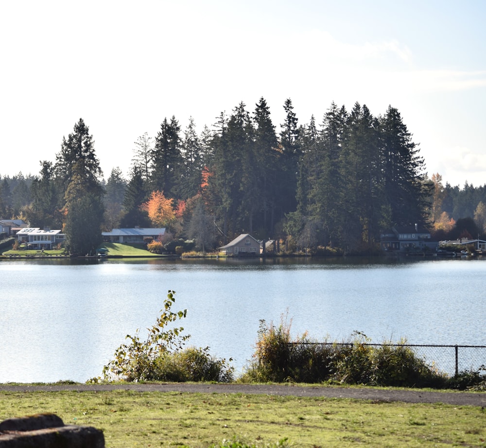 a large body of water surrounded by trees