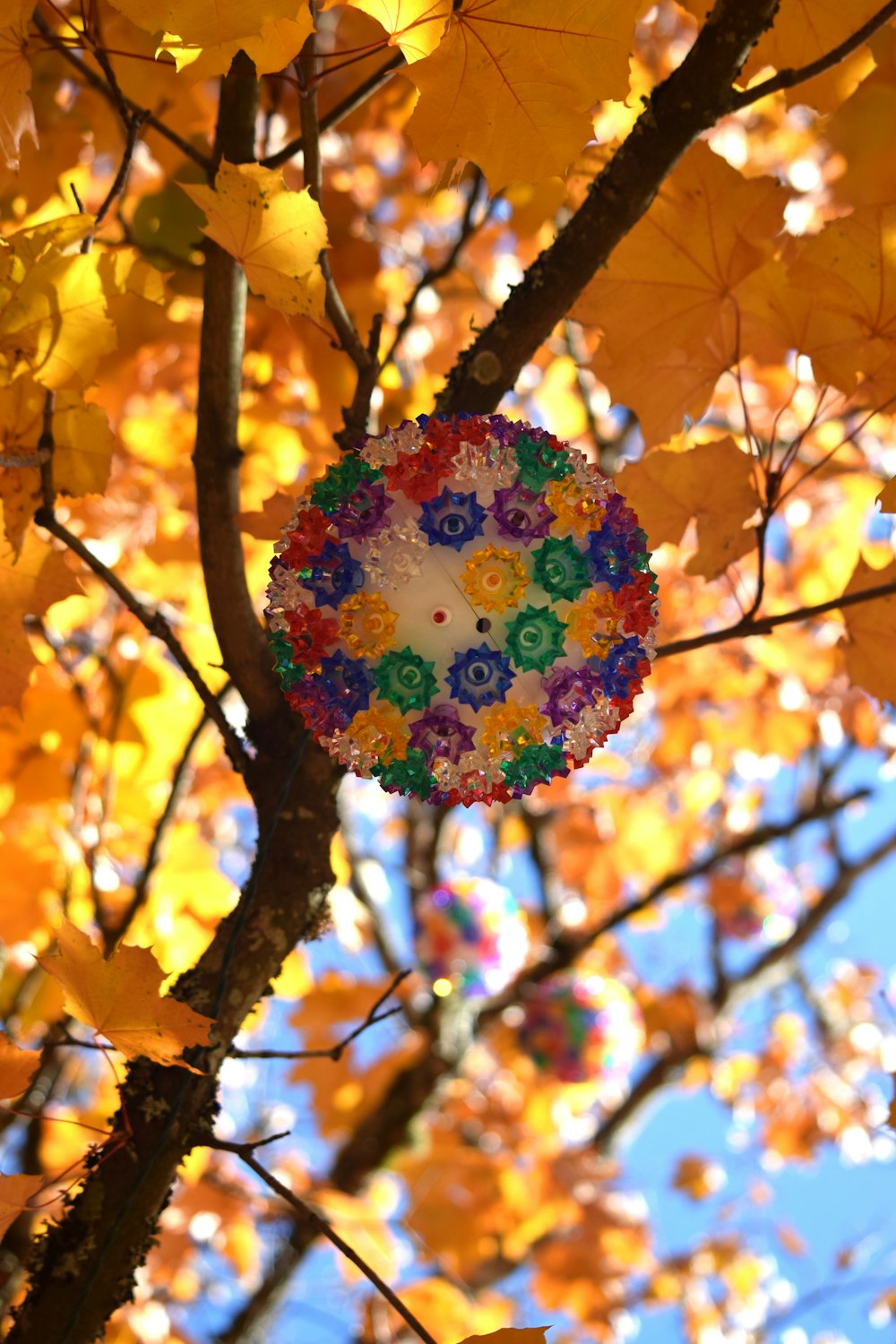 a colorful umbrella is hanging from a tree