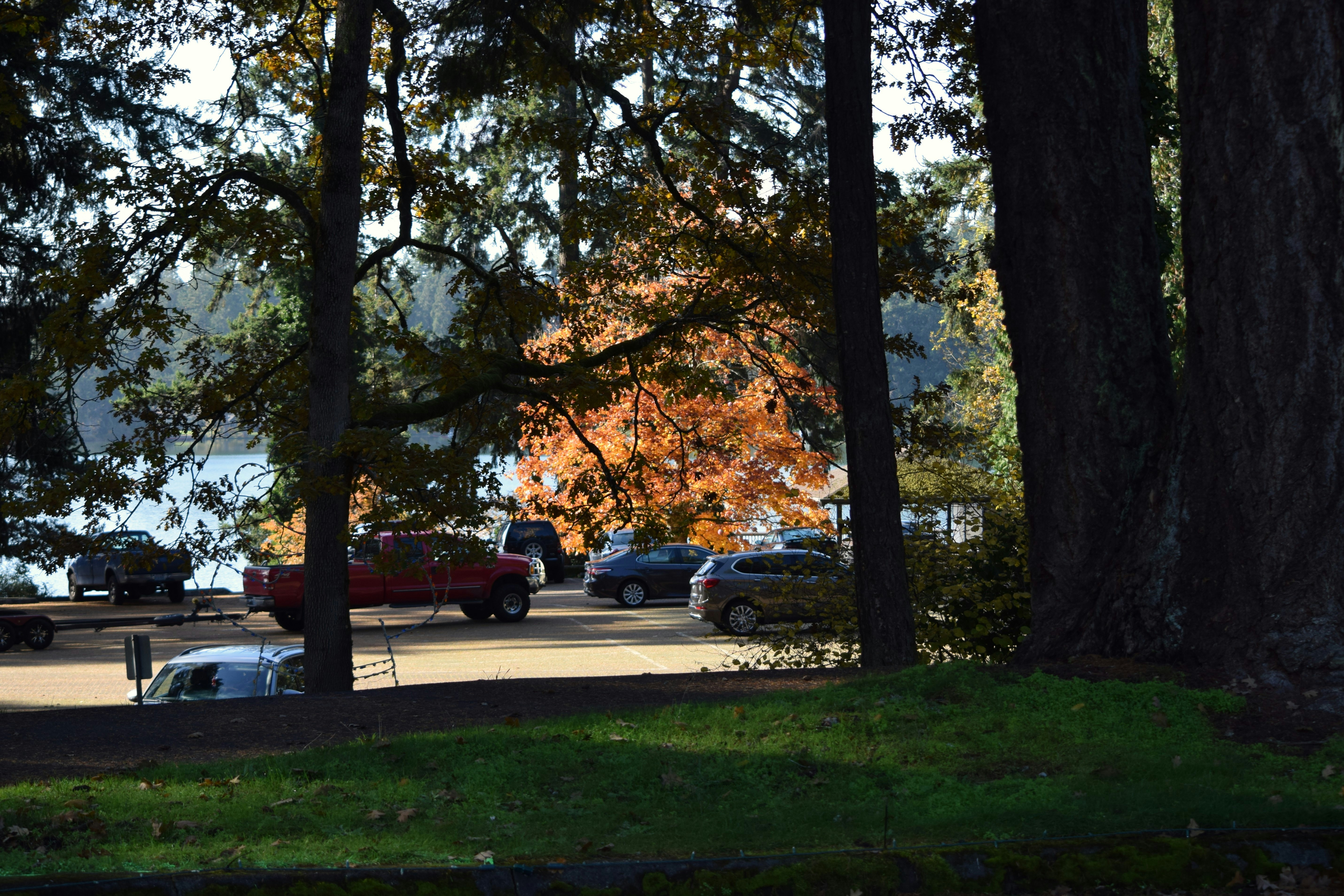 A parking lot filled with lots of parked cars photo Free Spanaway
