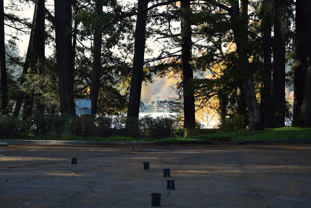a parking lot in front of a lake surrounded by trees