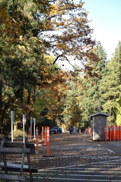 A paved pathway lined with orange traffic cones and parking signs leads through a park-like setting with tall, lush green trees. Some trees have orange decorations or fruit hanging from their branches. A small guardhouse or utility shed is positioned on the right side of the path. People can be seen walking further down the path near a parked car. The ground is sprinkled with fallen leaves.