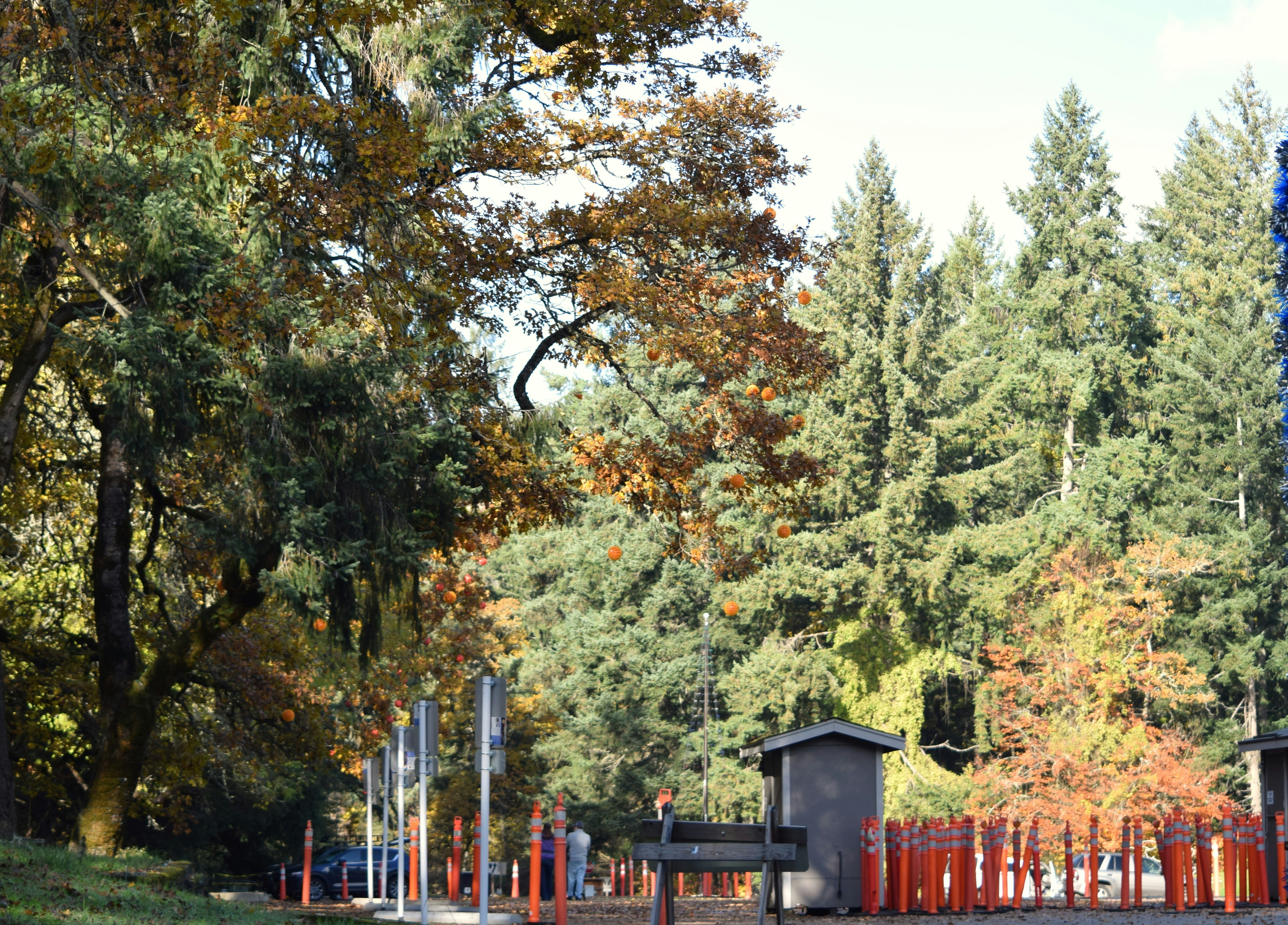 Woodland Park Zoo Seattle
