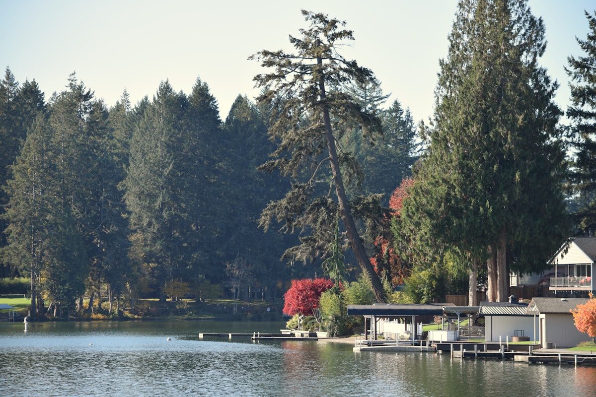 Parks in South Surrey: A Local's Guide to the 8 Best Outdoor Spots