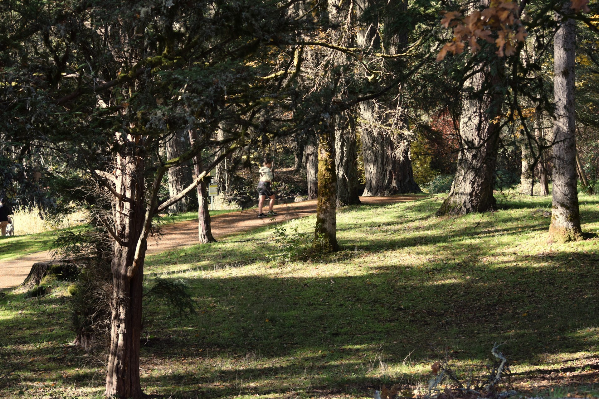 woman wearing yellow long-sleeved dress under white clouds and blue sky during daytime