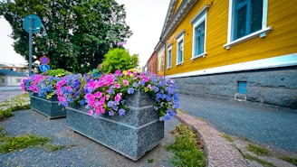 Community volunteers planting flowers along the sidewalks, brightening the town’s welcoming atmosphere.