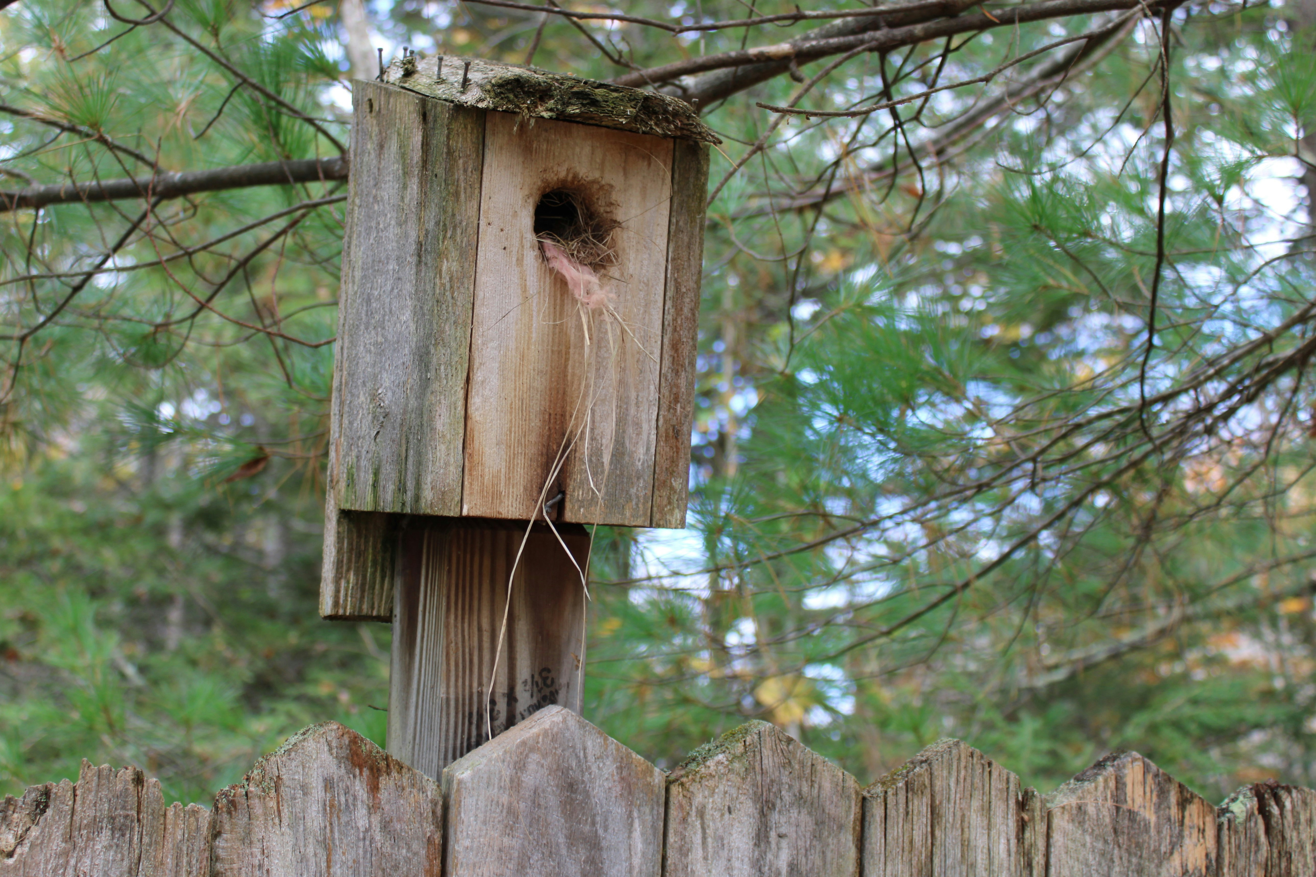 a bird house hanging on a wooden fence