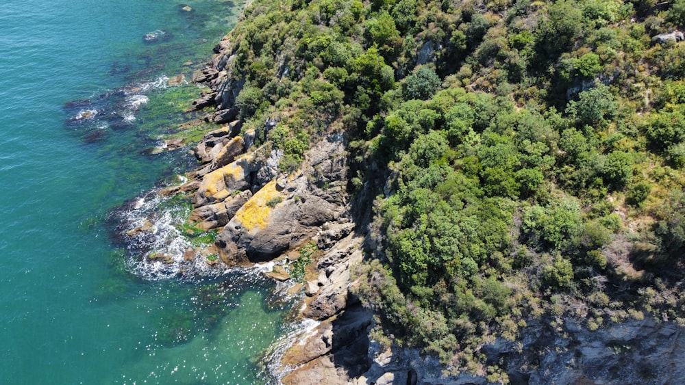 an aerial view of a rocky coastline with trees and water